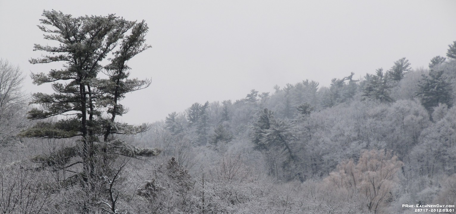 28717Cr - New snow from Rouge Valley Bridge, Kingston Road